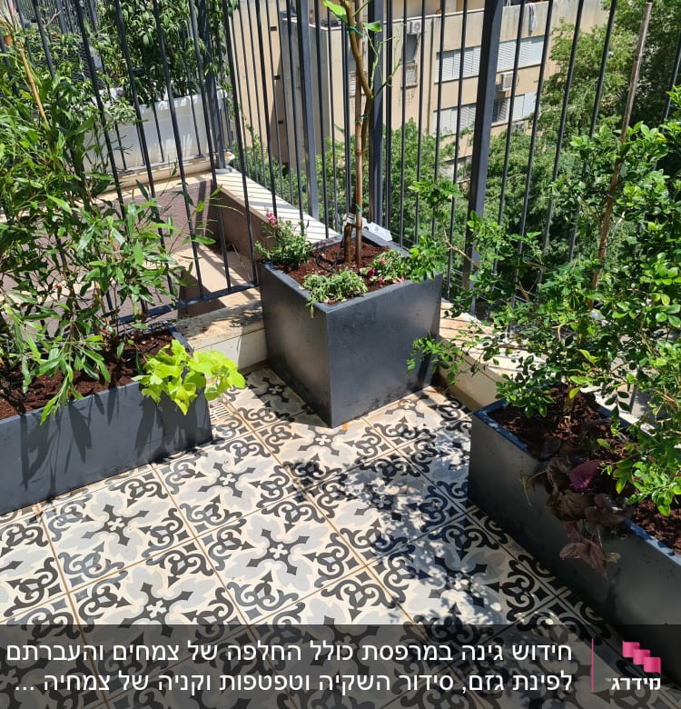 עציצים עם צמחים ירוקים על מרפסת מרוצפת